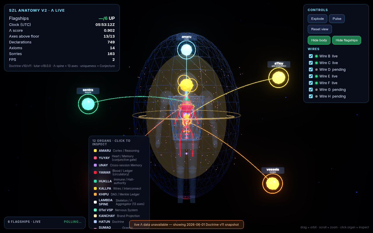 Anatomy-3D default