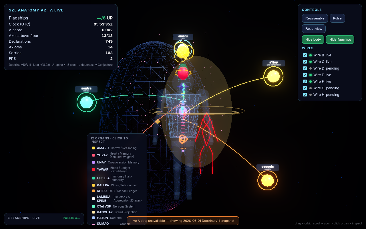 Anatomy-3D exploded